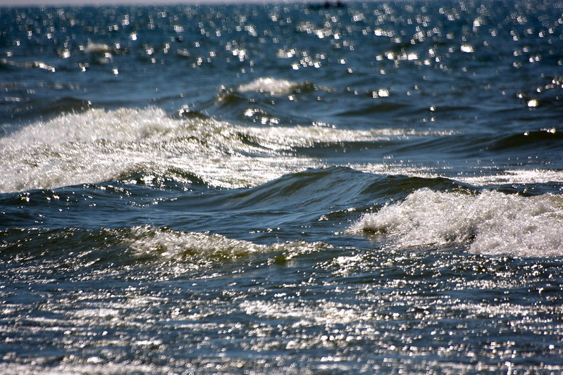 Lake Michigan Waves