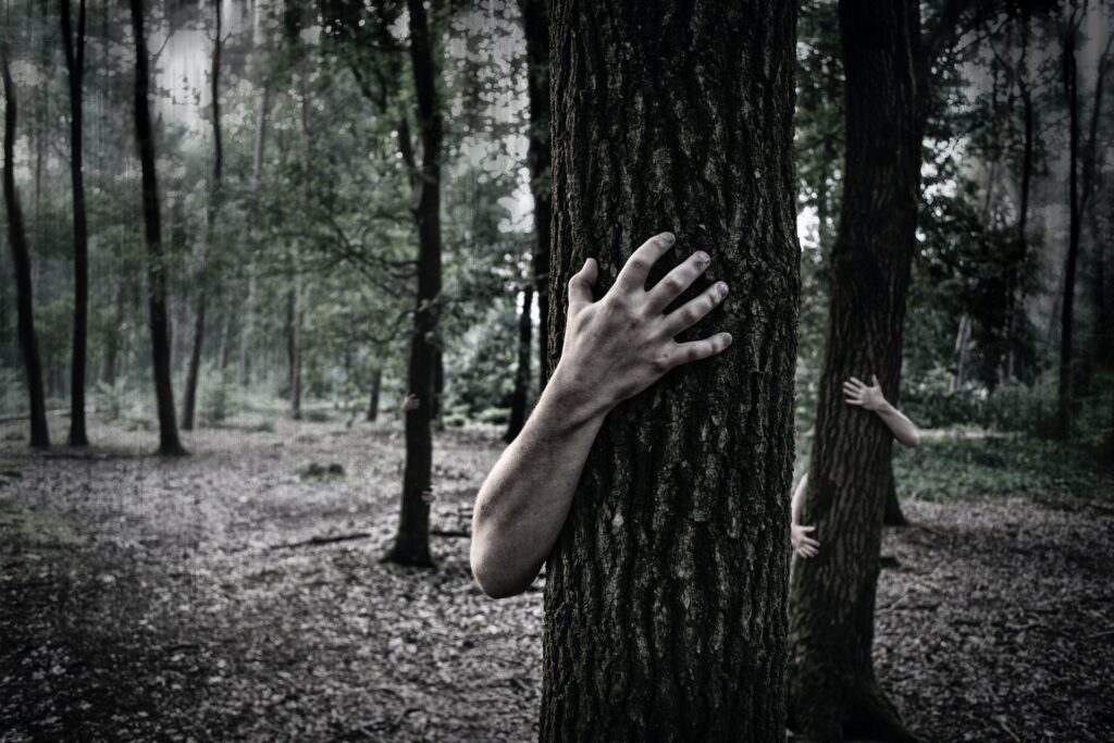 person hugging tree photo